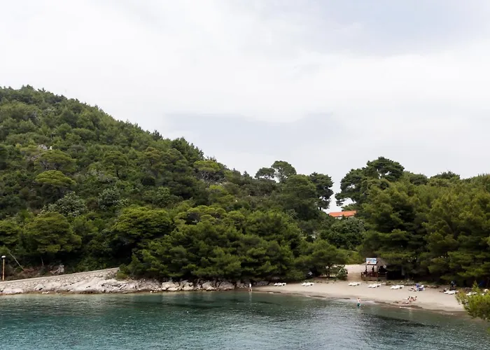 Διαμέρισμα Skurla Saplunara